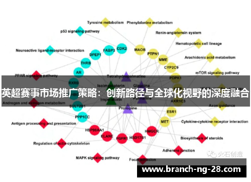 英超赛事市场推广策略：创新路径与全球化视野的深度融合