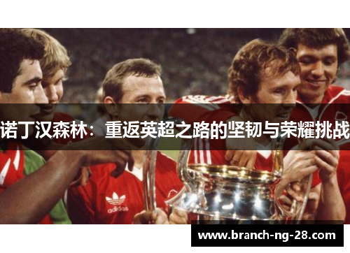 诺丁汉森林:重返英超之路的坚韧与荣耀挑战 诺丁汉森林:重返英超之路的坚韧与荣耀挑战