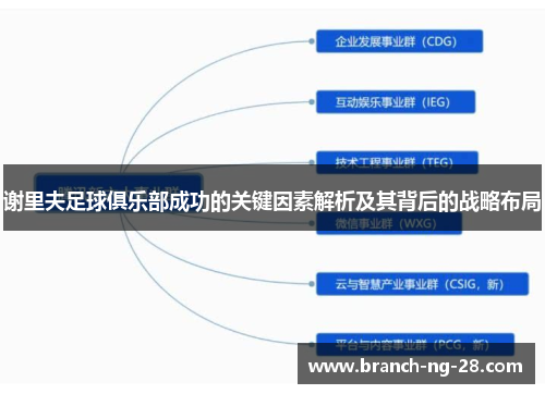 谢里夫足球俱乐部成功的关键因素解析及其背后的战略布局 谢里夫足球俱乐部成功的关键因素解析及其背后的战略布局