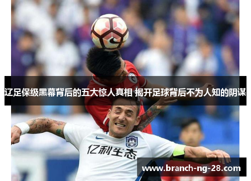 辽足保级黑幕背后的五大惊人真相 揭开足球背后不为人知的阴谋 辽足保级黑幕背后的五大惊人真相 揭开足球背后不为人知的阴谋