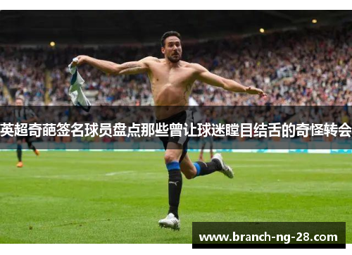 英超奇葩签名球员盘点那些曾让球迷瞠目结舌的奇怪转会