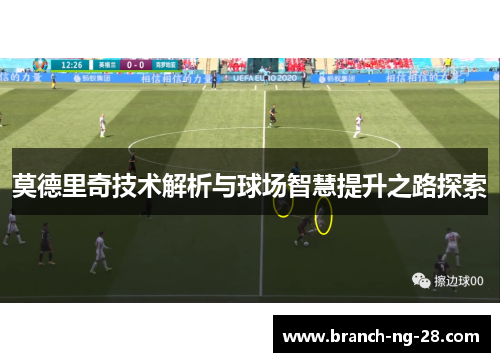 莫德里奇技术解析与球场智慧提升之路探索