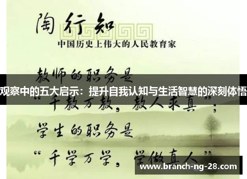 观察中的五大启示：提升自我认知与生活智慧的深刻体悟