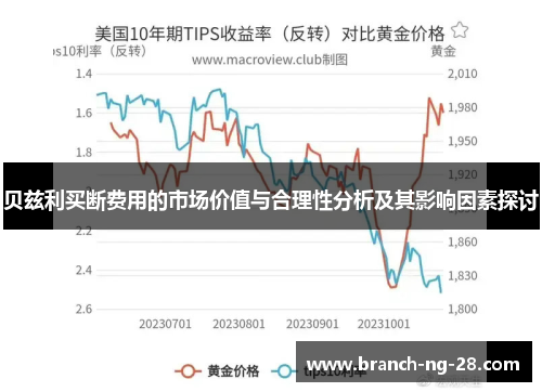 贝兹利买断费用的市场价值与合理性分析及其影响因素探讨