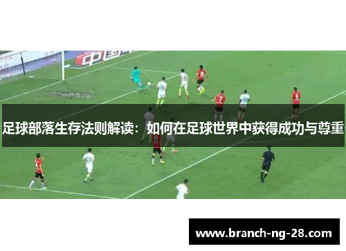 足球部落生存法则解读：如何在足球世界中获得成功与尊重