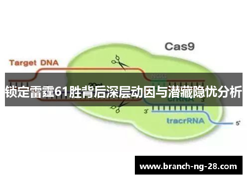 锁定雷霆61胜背后深层动因与潜藏隐忧分析