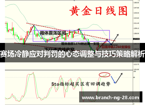 赛场冷静应对判罚的心态调整与技巧策略解析 赛场冷静应对判罚的心态调整与技巧策略解析
