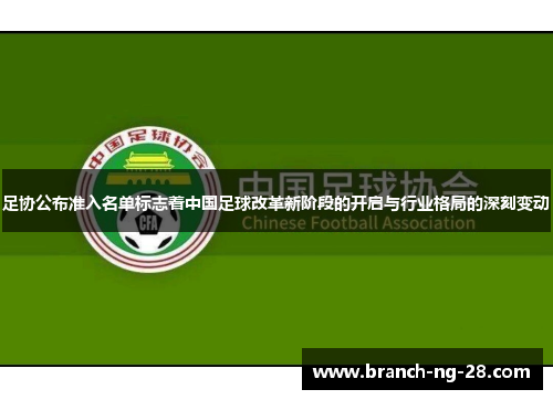 足协公布准入名单标志着中国足球改革新阶段的开启与行业格局的深刻变动