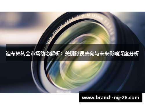 迪布林转会市场动态解析：关键球员去向与未来影响深度分析