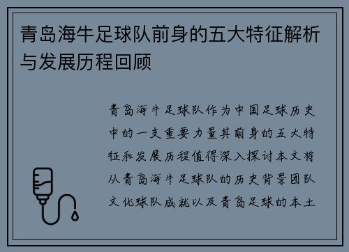 青岛海牛足球队前身的五大特征解析与发展历程回顾