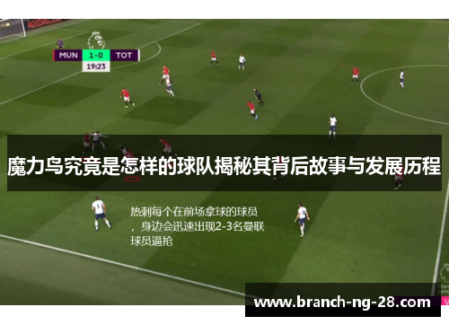 魔力鸟究竟是怎样的球队揭秘其背后故事与发展历程