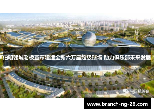 伯明翰城老板宣布建造全新六万座超级球场 助力俱乐部未来发展