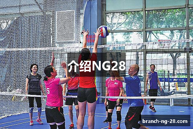 介绍NG28